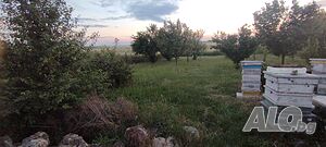 Парцел в село Пленимир общ. Ген. Тошево