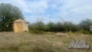 image_6