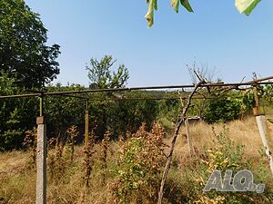 image_10