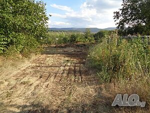 image_7