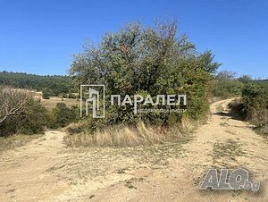 image_8