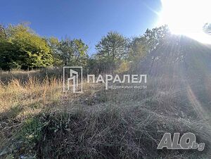 image_10