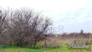Парцел в регулация. Село Хаджи Димитър, област Добрич