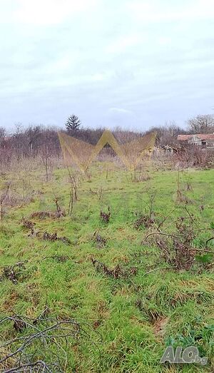 image_4