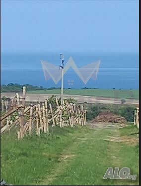 image_2