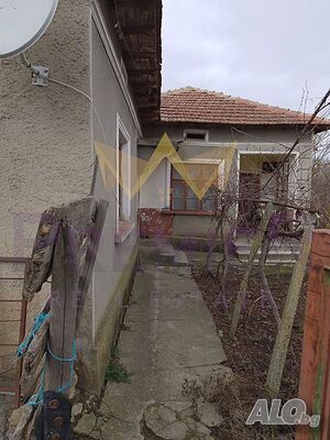 image_11