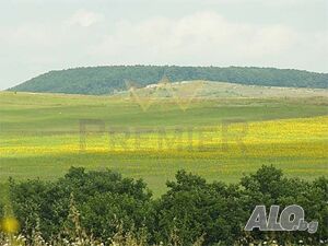 image_3