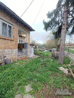 image_11