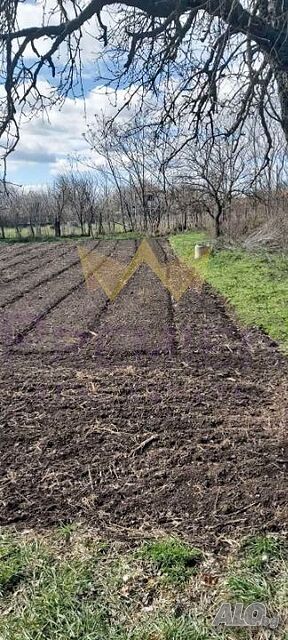 Парцел в село Житница