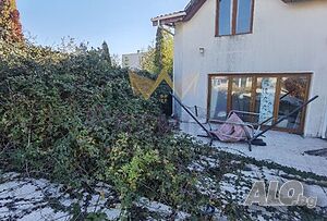image_11