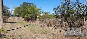 image_8