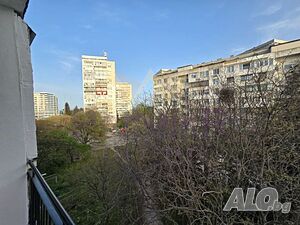 image_8