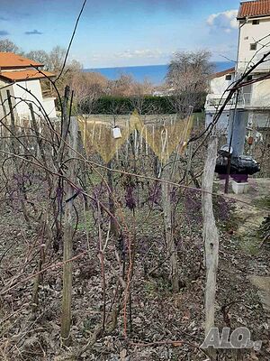 image_6