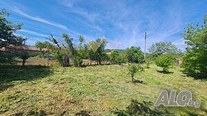 image_4