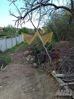 image_2