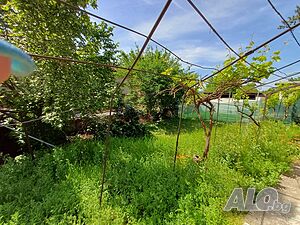 image_6