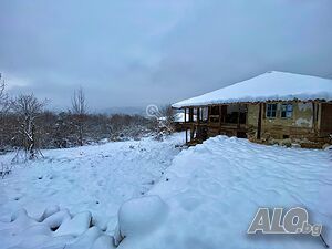image_11