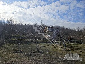 image_8