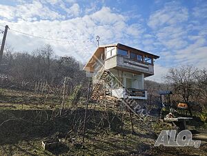 image_9