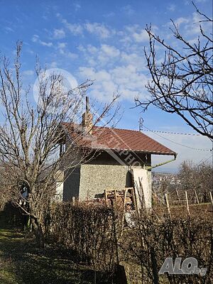 image_11