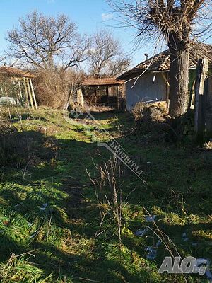 image_9