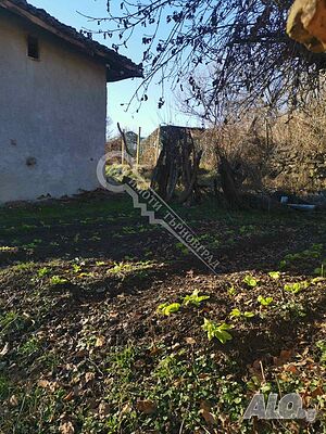image_10