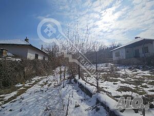 image_11