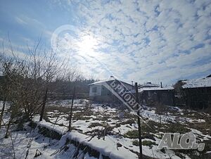 image_12