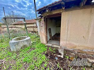 image_11