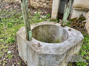 image_12
