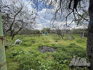 image_14