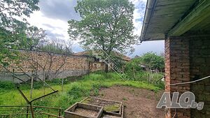 image_11