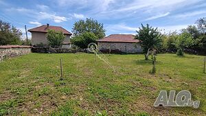 image_11