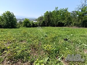 image_7