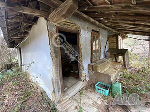 image_11