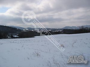 image_4