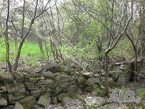image_6