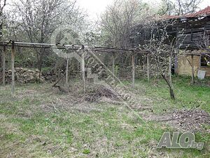 image_8