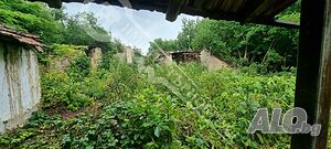 image_3