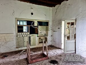 image_10