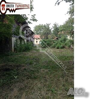 image_8