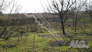 image_6