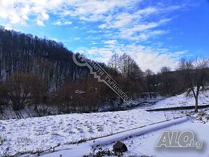 image_7