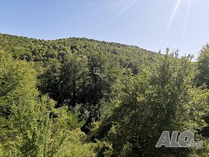 image_14