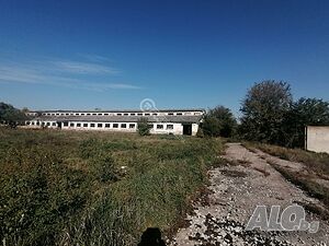 image_2