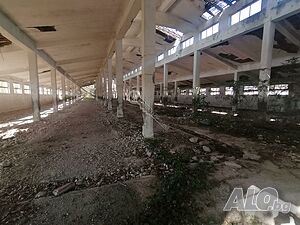 image_5