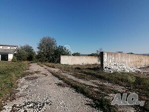 image_6