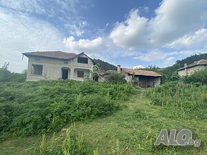 image_10