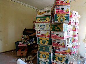 image_8