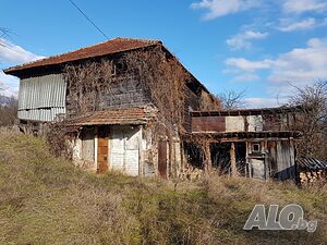 image_11